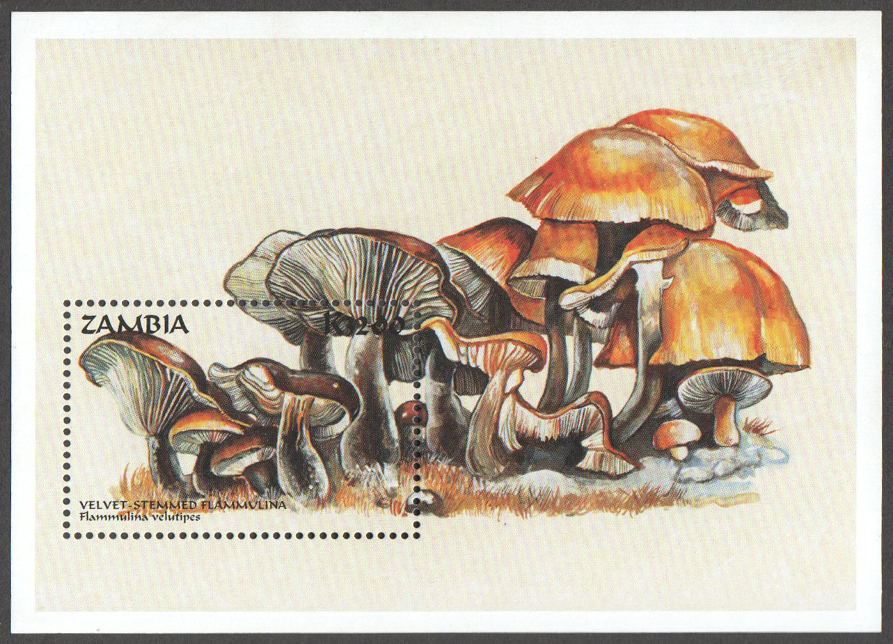 Zambia Scott 752 MNH S/S (A13-6) - Click Image to Close